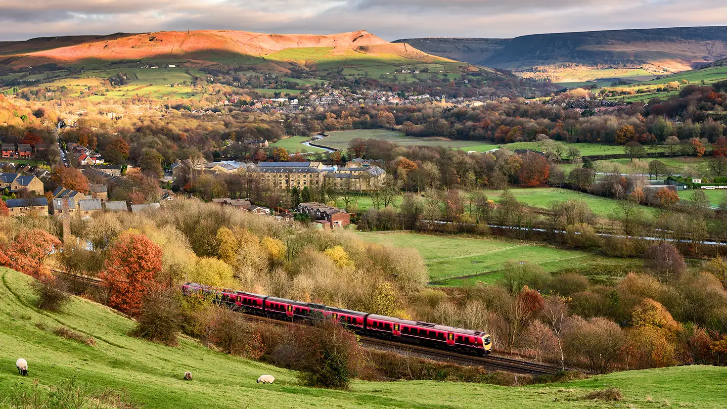Train in the countryside