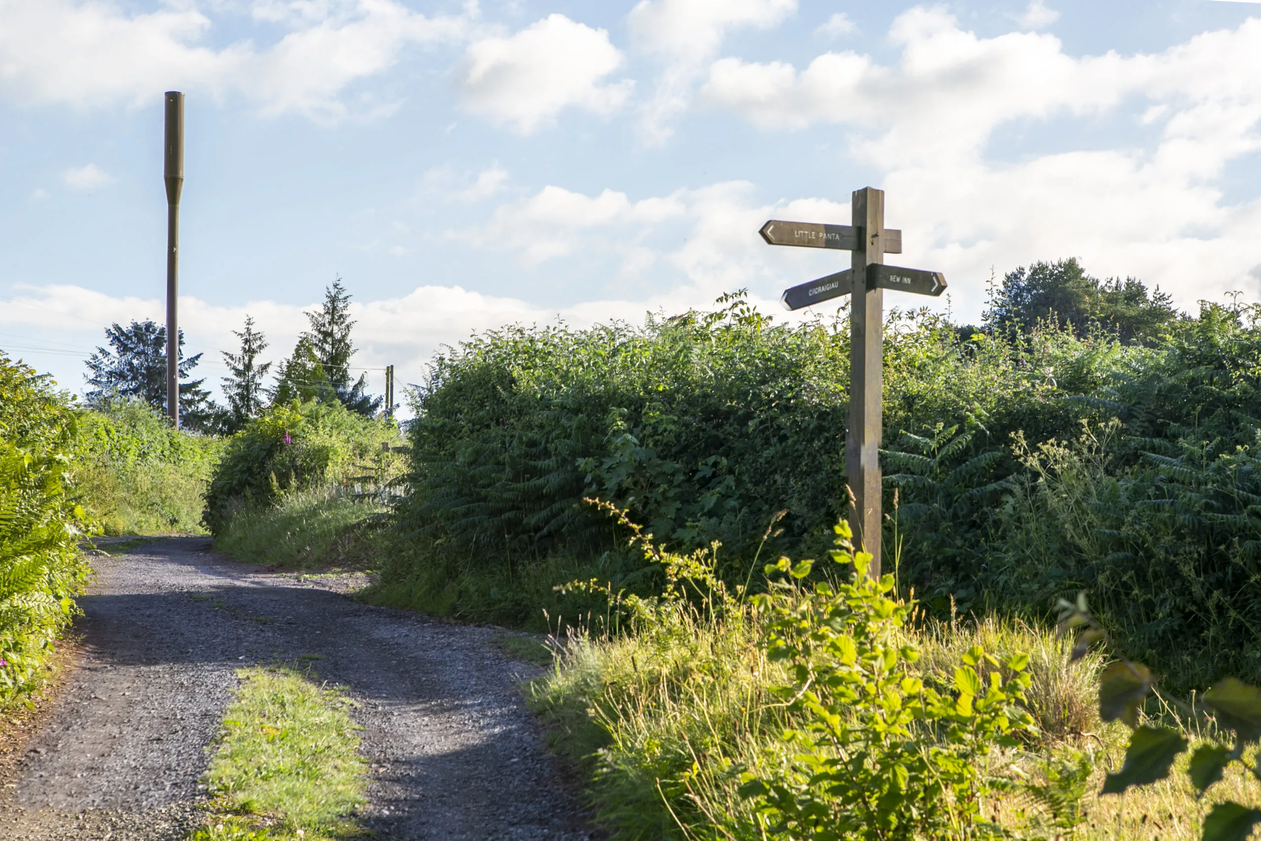 Vodafone SRN mast near Devauden, Wales