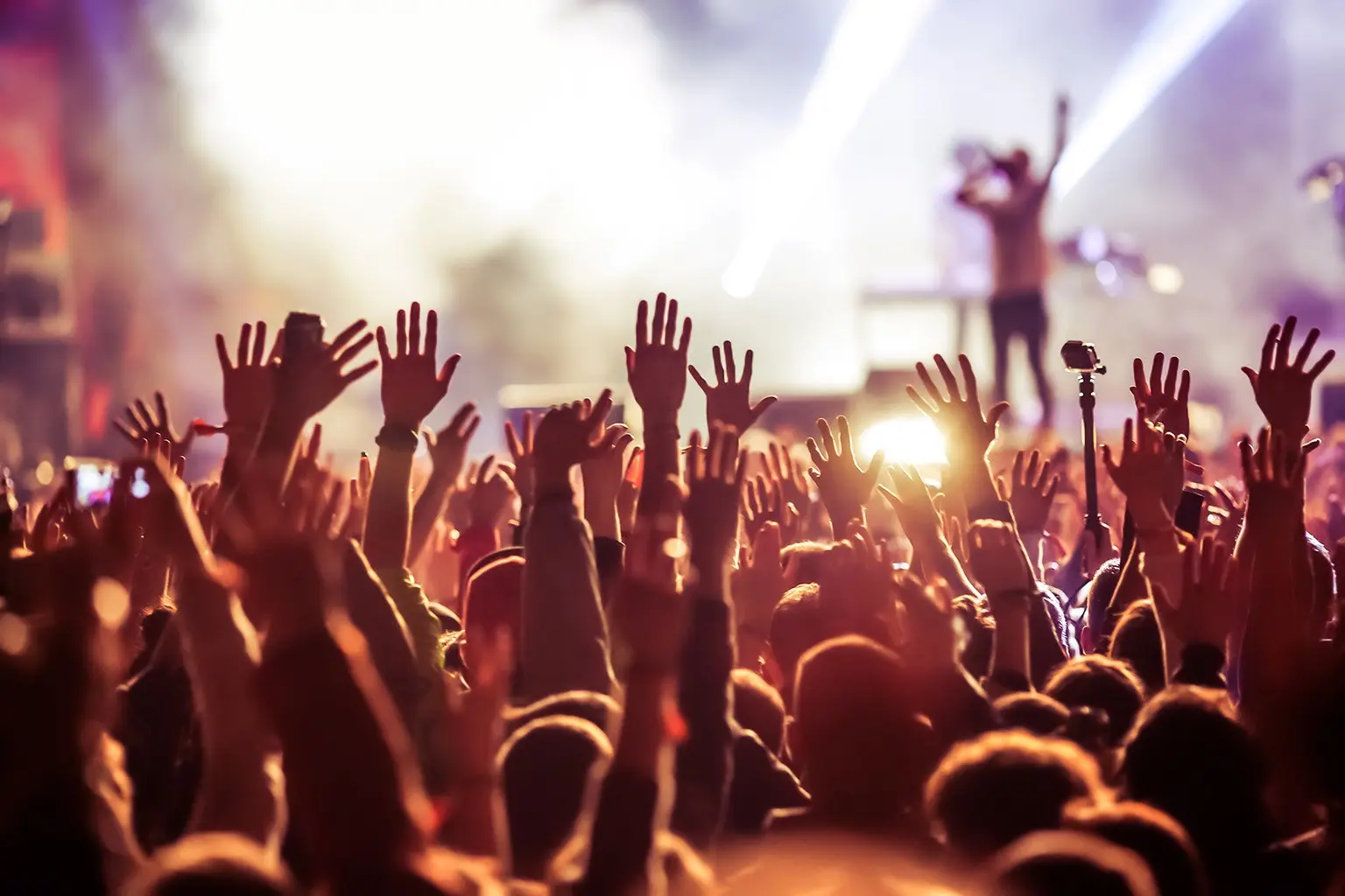 Image of a crowd at a concert