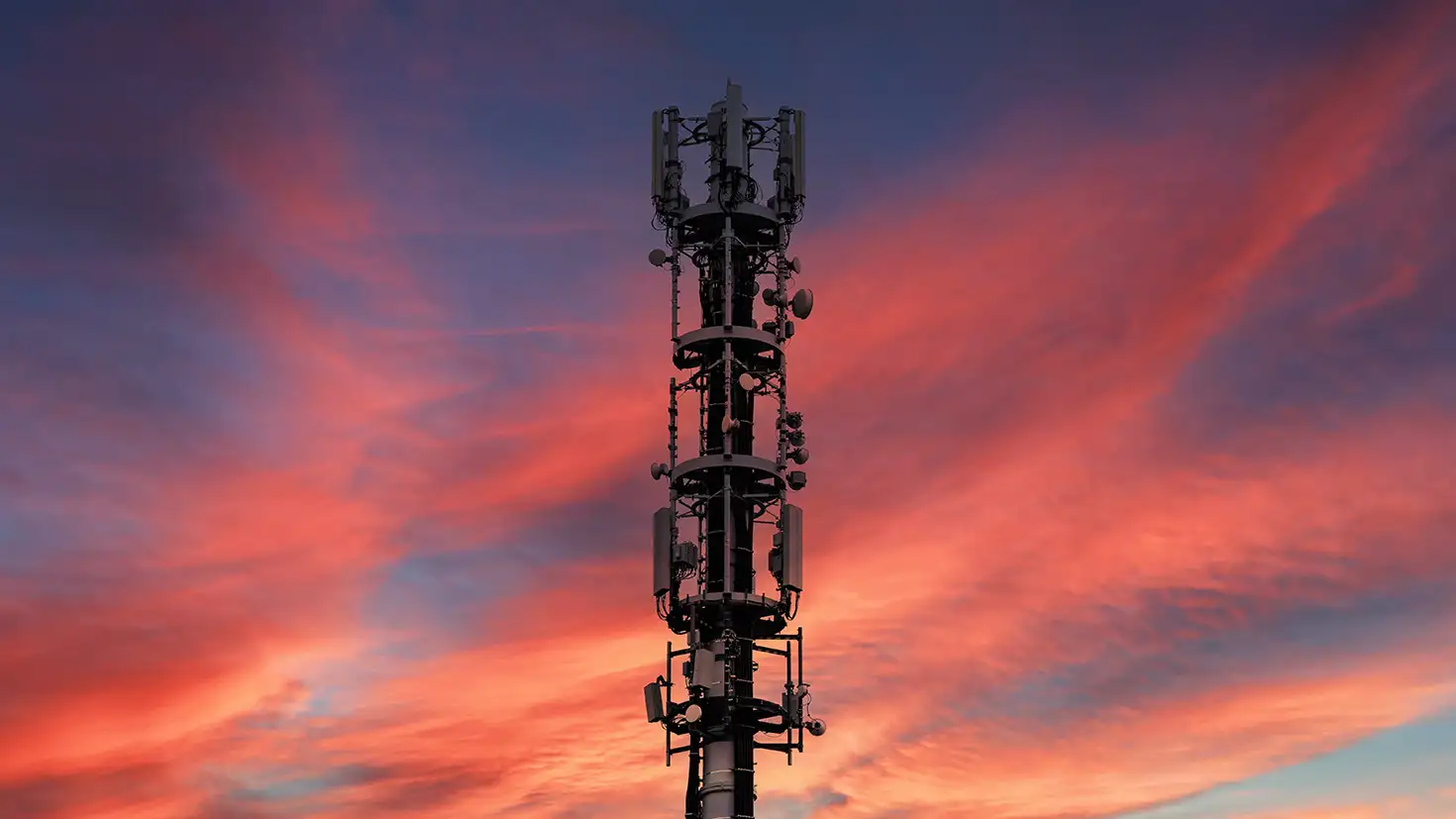 Network mast