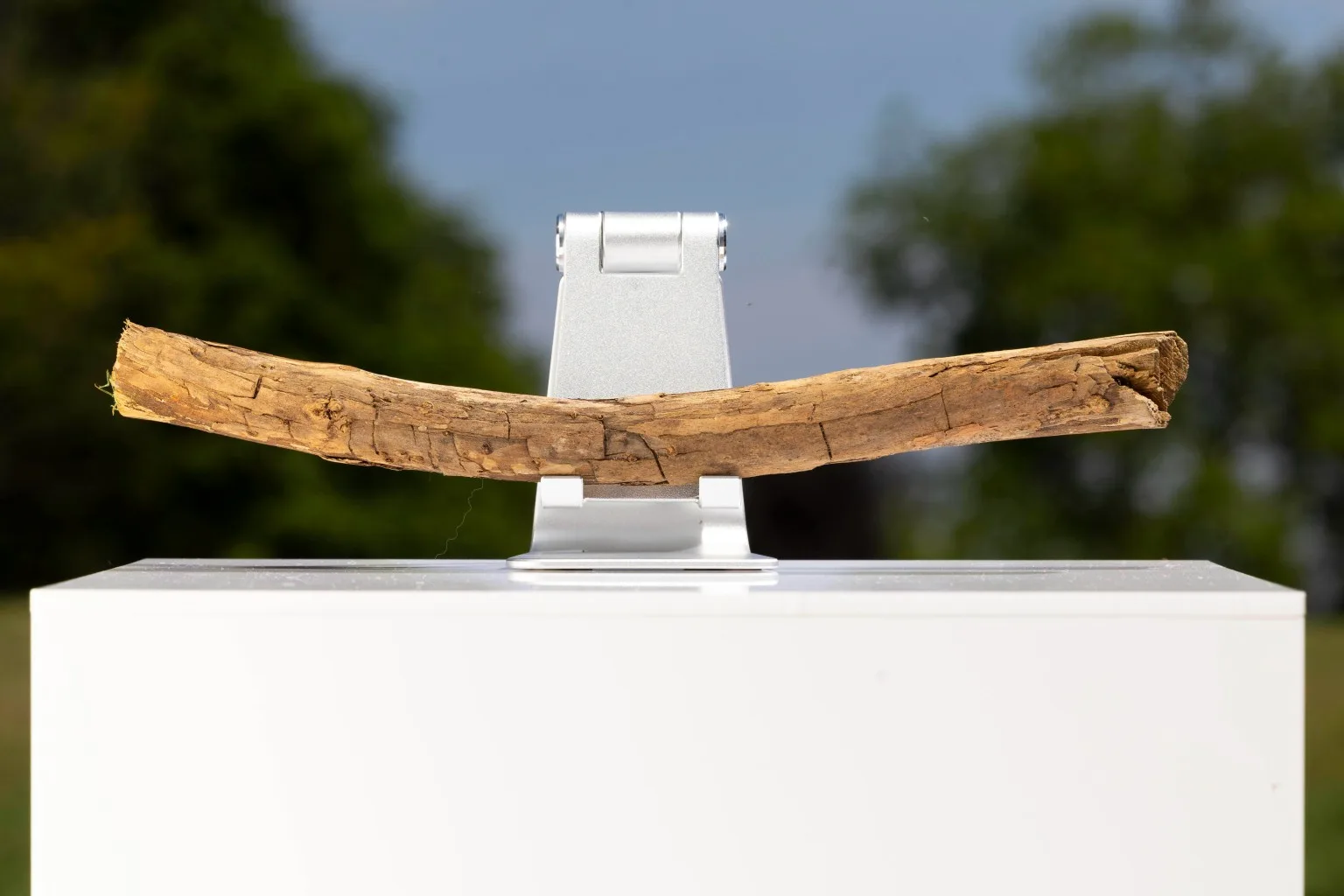 Stick on plinth with trees in the background.