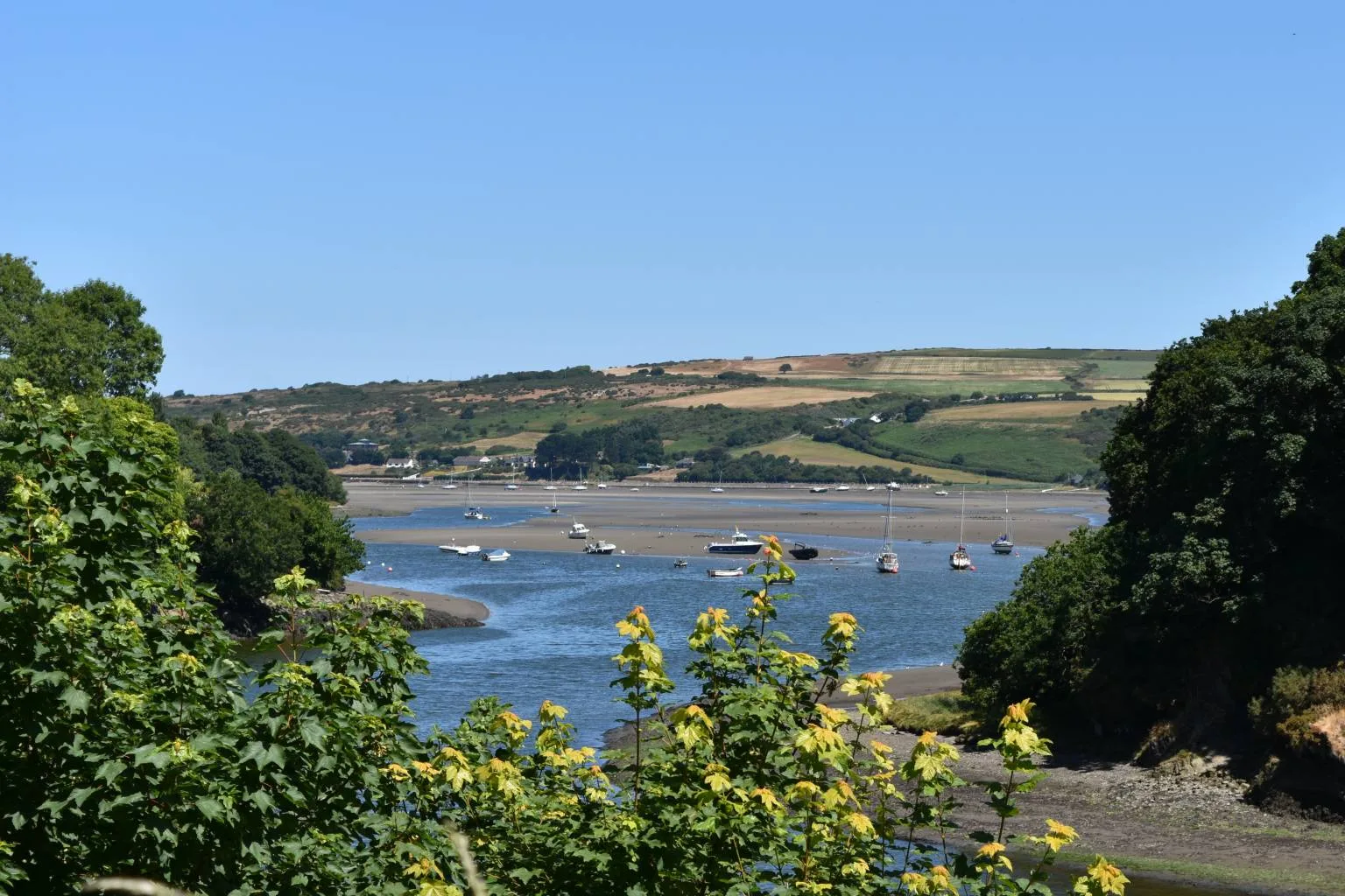 Boats on lake, framed by trees on sunny day, in St Dogmaels (Llandudoch) in Pembrokeshire.