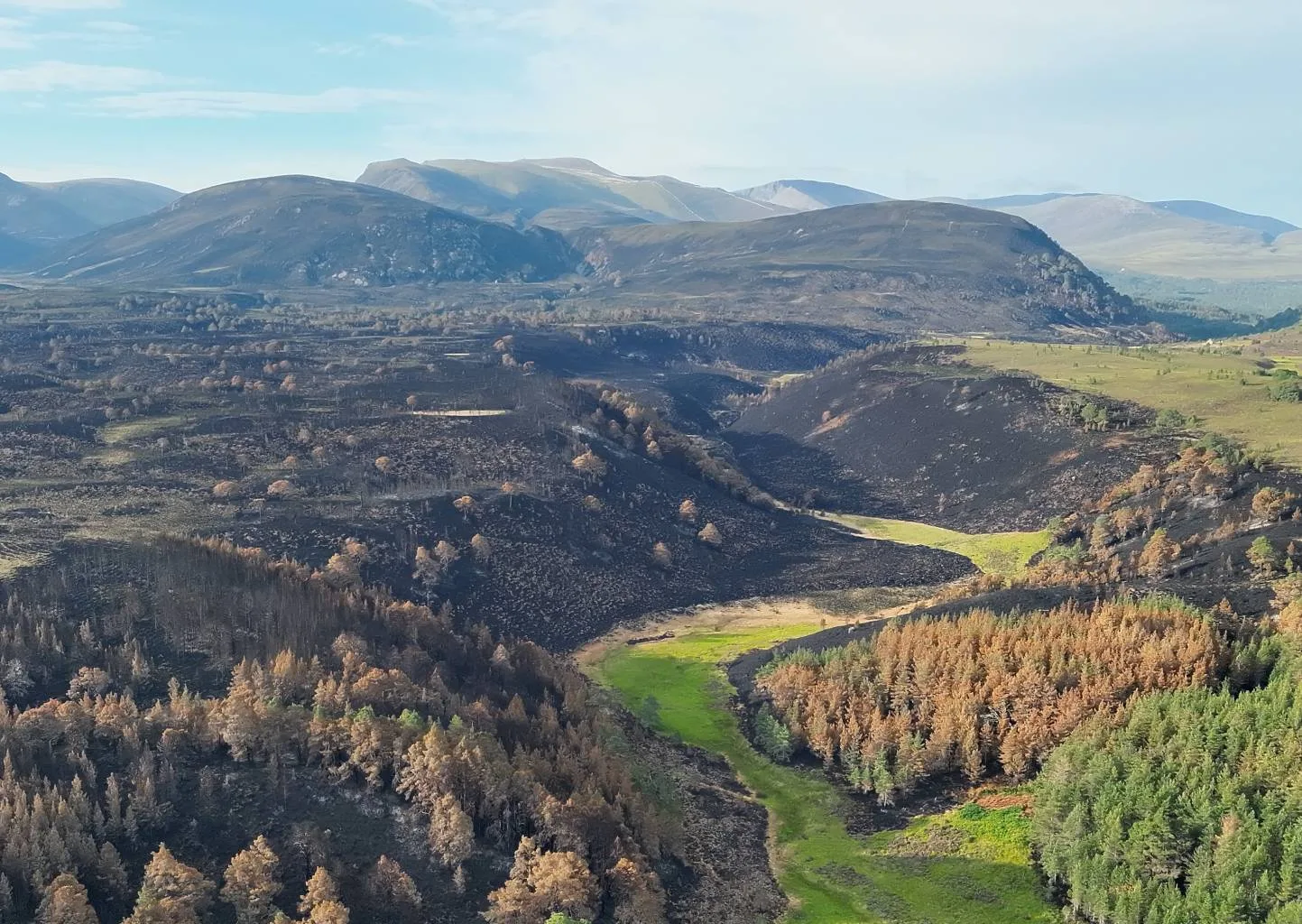 Aerial view of a valley showing extensive areas of black, burnt land alongside patches of green grass and a mix of burnt brown and healthy green trees, with mountains in the background.